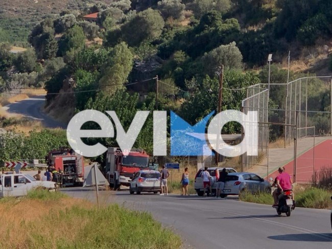 Εύβοια: Υπό έλεγχο η φωτιά που ξέσπασε σε δασική έκταση στις Πετριές [εικόνες]