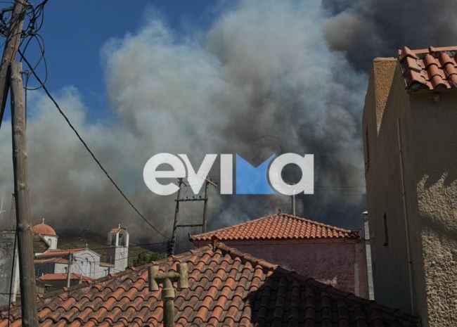 Φωτιά στην Εύβοια