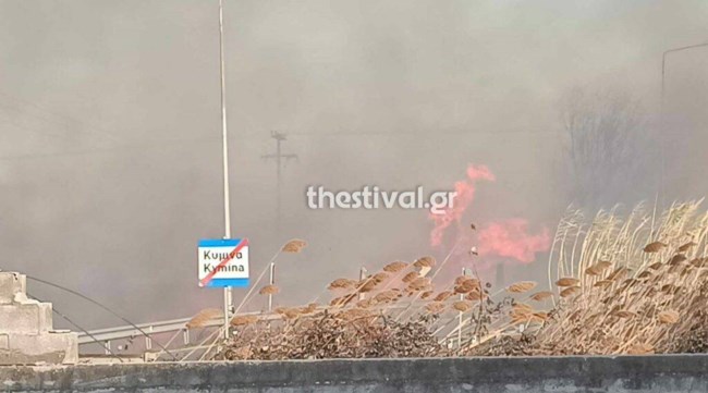 ΦΩΤΙΑ ΘΕΣΣΑΛΟΝΙΚΗ ΚΥΜΙΝΑ