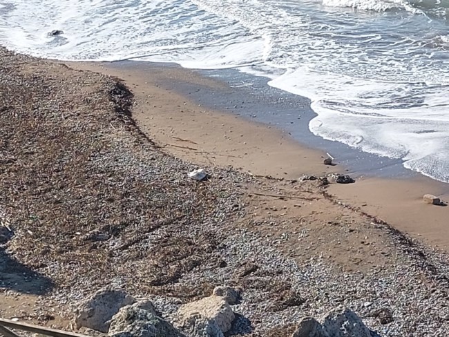 χαπια καστελοριζο