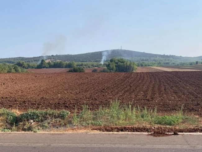 Φωτιά στον Αυλώνα: Φωτογραφίες ντοκουμέντα από τις απόπειρες εμπρησμού - Τέσσερις προσαγωγές
