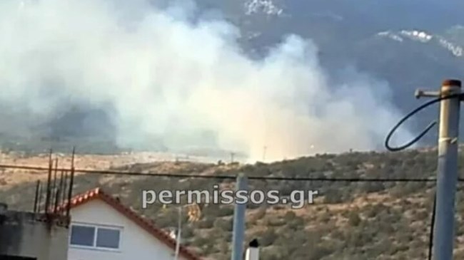 Οριοθετημένη η φωτιά στη Βοιωτία: Ισχυρές Πυροσβεστικές δυνάμεις στο σημείο