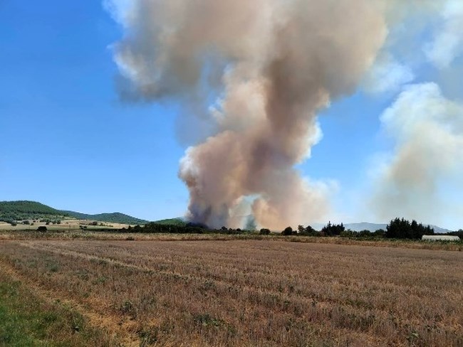 Φωτιά Έβρος