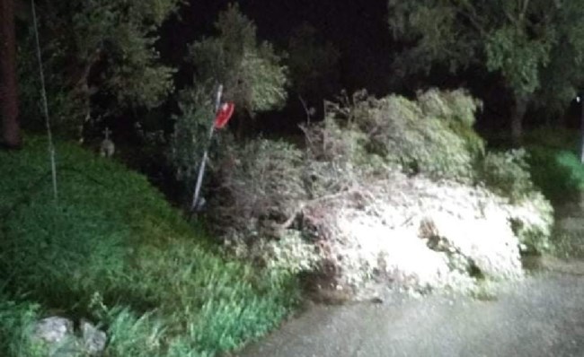 ΥΔΡΟΣΤΡΟΒΙΛΟΣ ΖΑΚΥΝΘΟΣ.