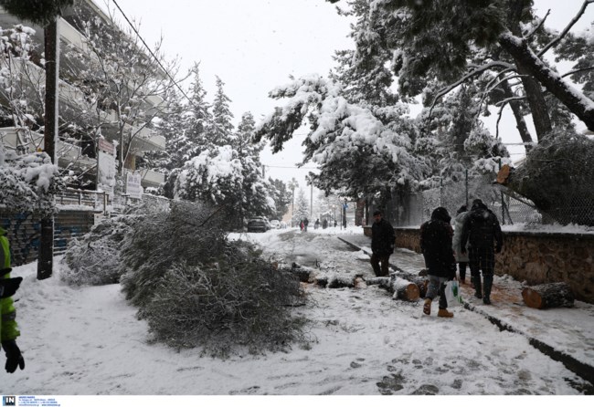 διονυσος