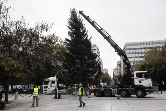 Μύρισαν Χριστούγεννα: Στήθηκε το χριστουγεννιάτικο δέντρο στην πλατεία Συντάγματος [εικόνες]