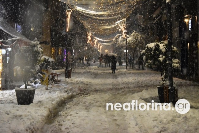 ΦΛΩΡΙΝΑ ΧΙΟΝΙΑ