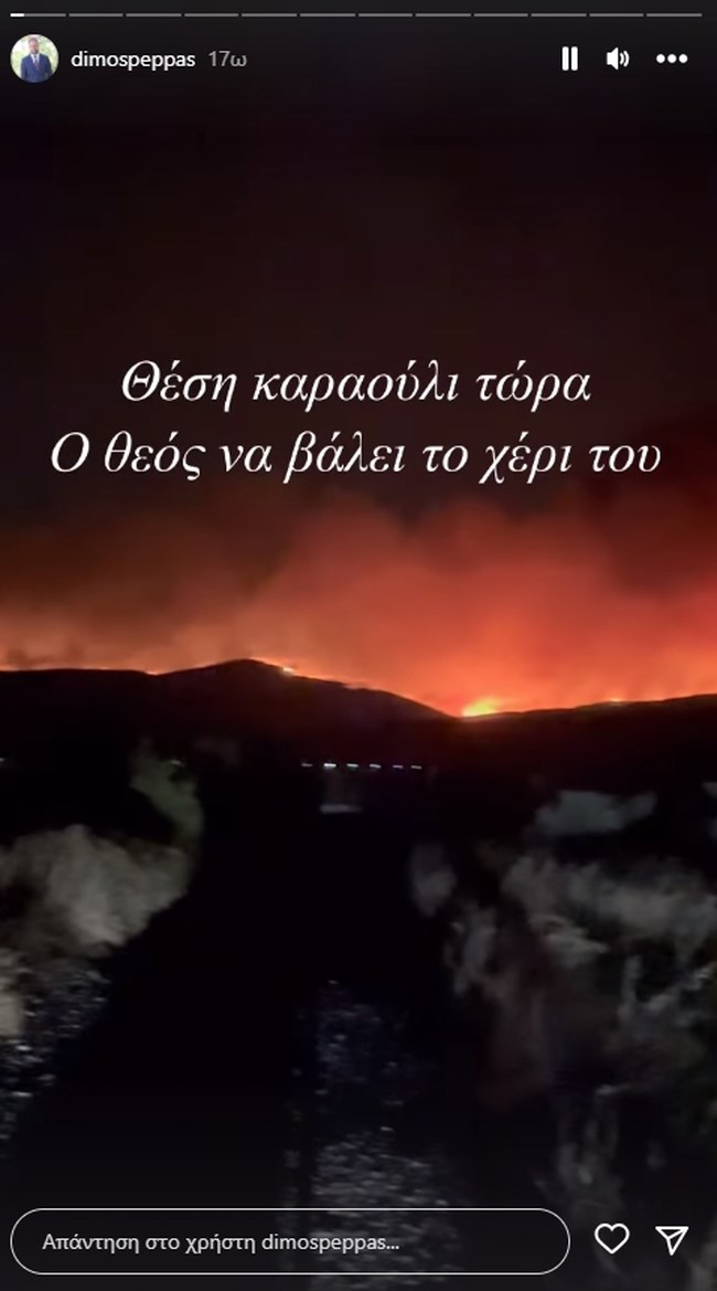 Δημοσθένης Πέππας: Η στιγμή που ο σύζυγος της Μαρίνας Ασλάνογλου σώζει τα άλογά τους από τη φωτιά [βίντεο]