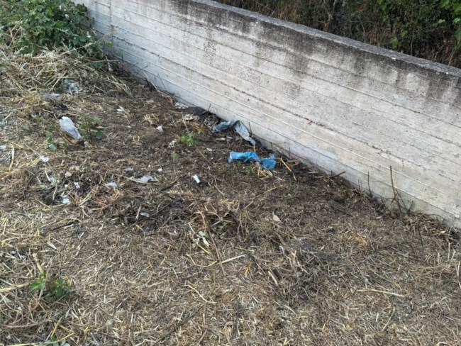 Θρίλερ στο Αγρίνιο: Σε 65χρονο που είχε εξαφανιστεί το 2022 ανήκουν τα οστά και το κρανίο που βρέθηκαν σε οικόπεδο