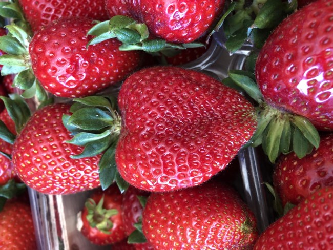 "Καρδιές παντού": Η εικαστικός Ασπασία Μουριάδου παρουσιάζει την έκθεση φωτογραφίας kardioway