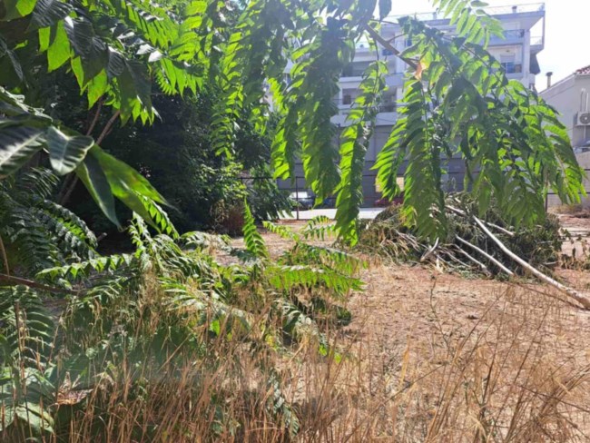 Γυναικοκτονία στον Βόλο: "Με απατούσε, αυτό της άξιζε" – Τα πρώτα λόγια του 40χρονου στους αστυνομικούς όταν τον έπιασαν