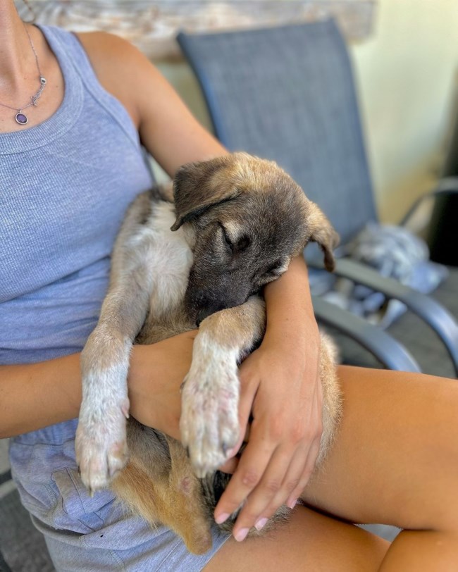 Εμεινε μόνο του να περιμένει... και κουράστηκε - Eίναι σαν ένα marshmallow