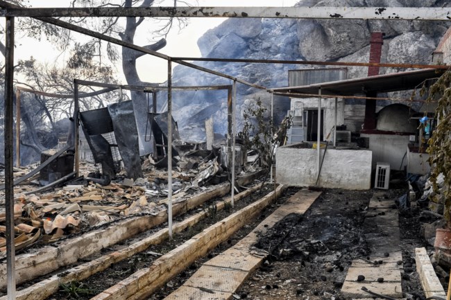 σχινο
