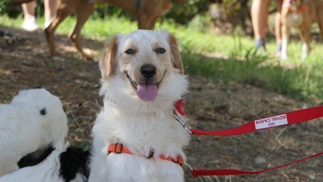 Κάθε πρωί η Φάντα λέει καλημέρα από τη γωνία της. Κοιτάει τη μέρα να περνάει χωρίς να συμμετέχει