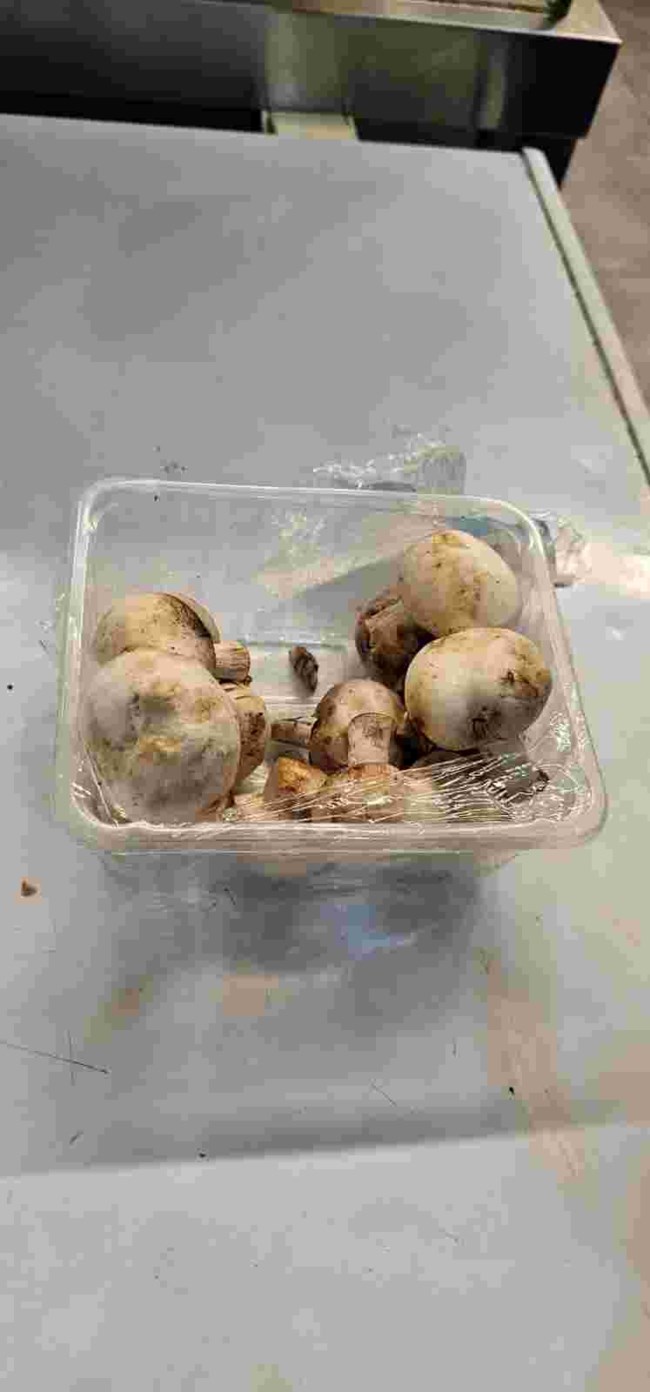 ΧΑΛΑΣΜΕΝΑ ΤΡΟΦΙΜΑ