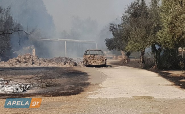 Φωτιά στο Γύθειο