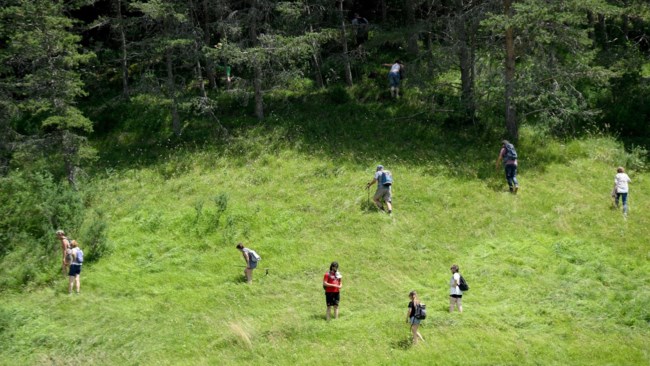 ΓΑΛΛΙΑ ΕΜΙΛ ΕΞΑΦΑΝΙΣΗ