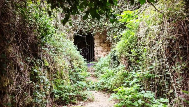 Νεραϊδόσπηλιος