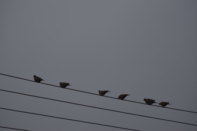 Χειμερινές συνθήκες με άστατο καιρό έως την 25η Μαρτίου: Πότε υποχωρούν τα φαινόμενα - Ηλιος και λασποβροχές το Σάββατο