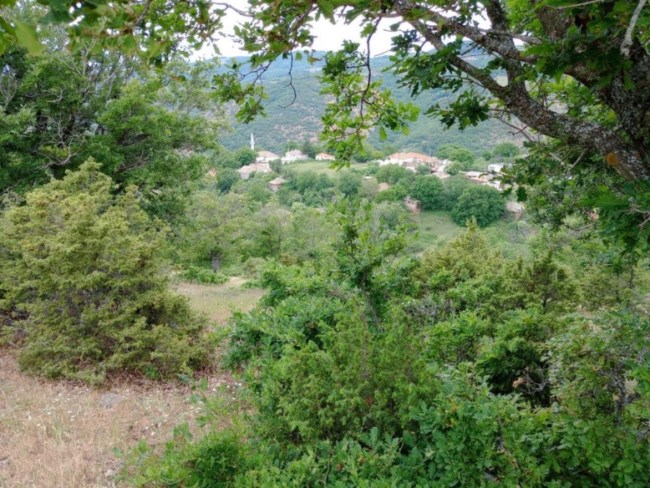 "Πυροβόλησα γιατί φοβήθηκα μη με σκοτώσουν από αντίπαλη ομάδα - Συγγνώμη, δεν ήξερα ότι ήταν αστυνομικοί", είπε ο Τούρκος μαφιόζος