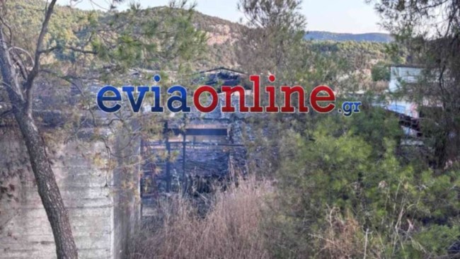 φωτια ευβοια