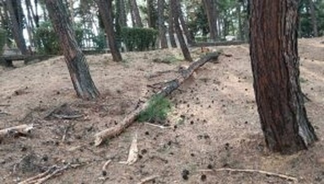 Αλλαγή του καιρού με βροχές, καταιγίδες και χαλαζοπτώσεις: Προβλήματα σε Κέρκυρα, Κοζάνη, Ιωάννινα