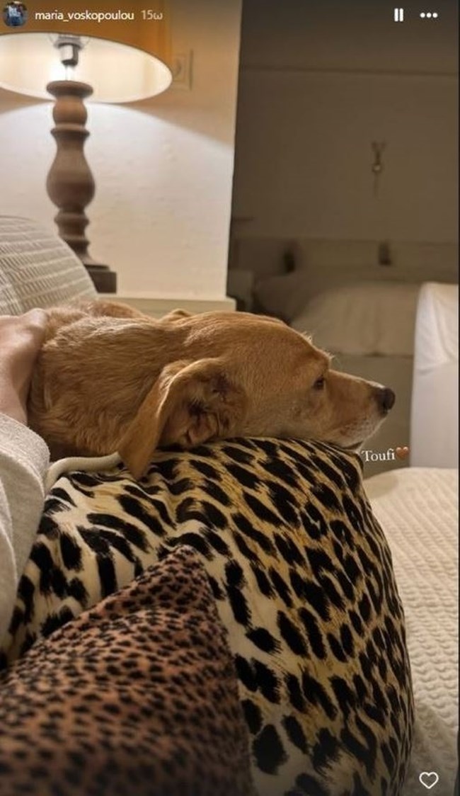 ΒΟΣΚΟΠΟΥΛΟΥ