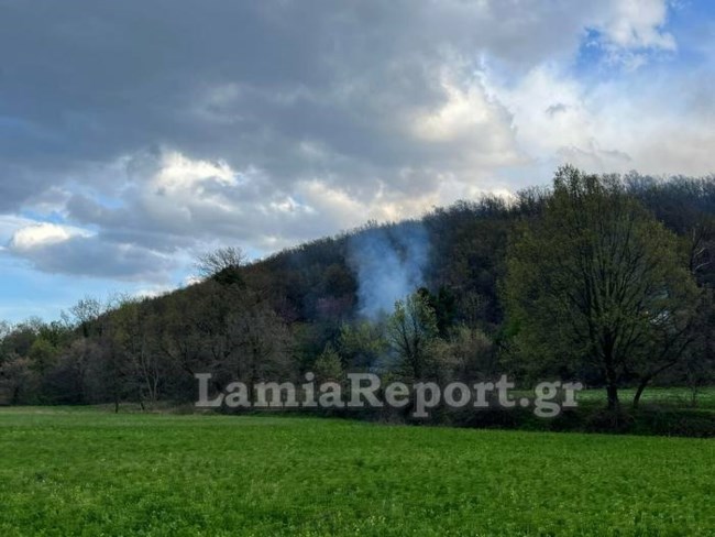 Φθιώτιδα φωτιά