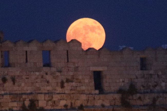 ΠΑΝΣΕΛΗΝΟΣ