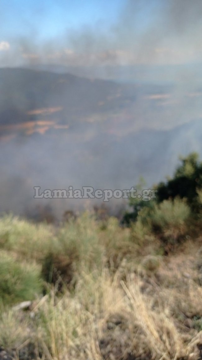 Φωτιά στο Λογγίτσι