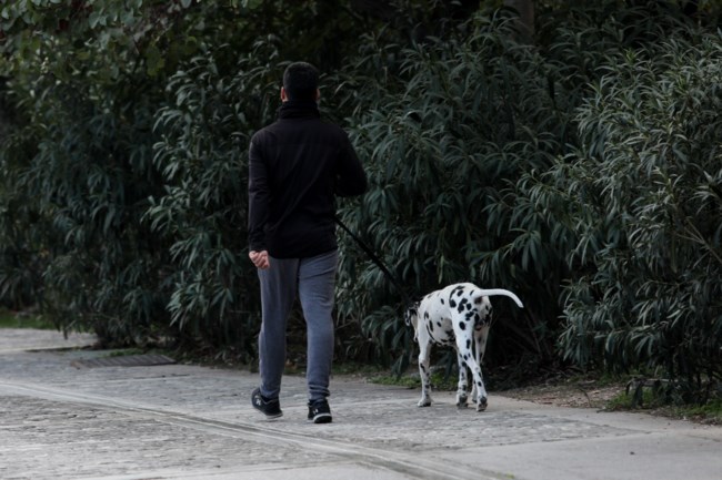Βόλτα με κατοικίδιο