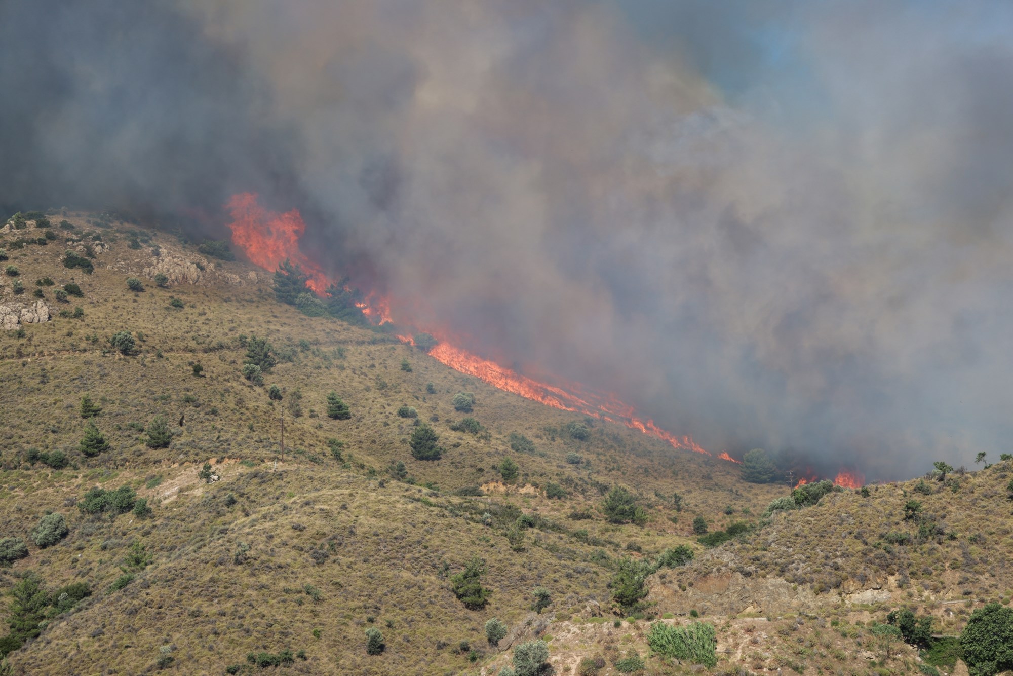 Incendiu în Chios: Femeie arestată pentru provocarea focului din neglijență Incendiu în Chios: Femeie arestată pentru provocarea focului din neglijență