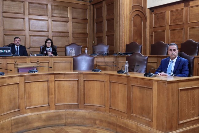 ΣΤΑΥΡΟΣ ΠΑΠΑΣΤΑΥΡΟΥ ΕΞΕΤΑΣΤΙΚΗ ΕΠΙΤΡΟΠΗ ΟΠΕΚΕΠΕ