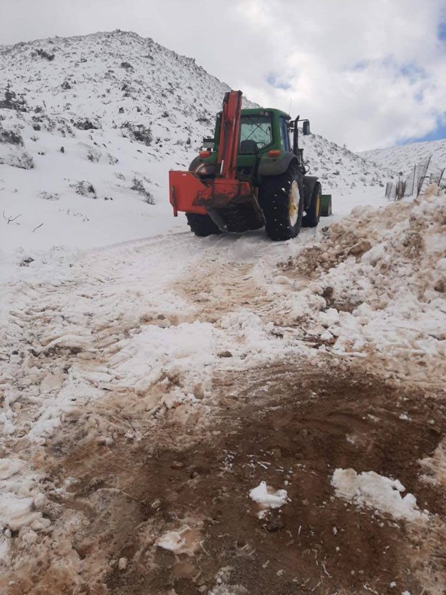 Κτηνοτρόφοι κρήτη