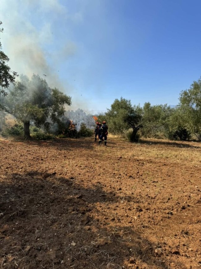 Συναγερμός στην Εύβοια: Φωτιά κοντά σε δύο ξενοδοχεία