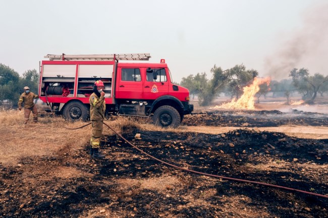 Φωτιά στην Εύβοια: Σε ένα ενιαίο μέτωπο η πυρκαγιά, στάχτη πάνω από 6.500 στρέμματα - Δεν κινδυνεύουν σπίτια