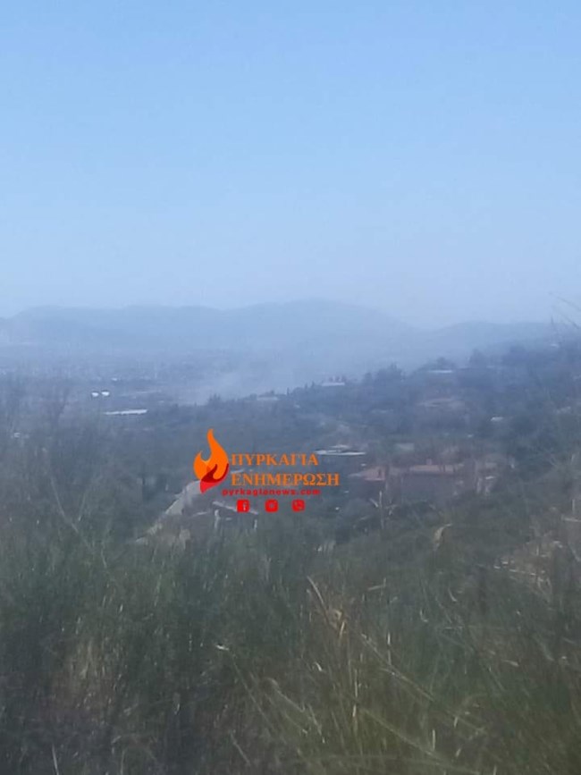 ΦΩΤΙΑ ΠΑΛΛΗΝΗ