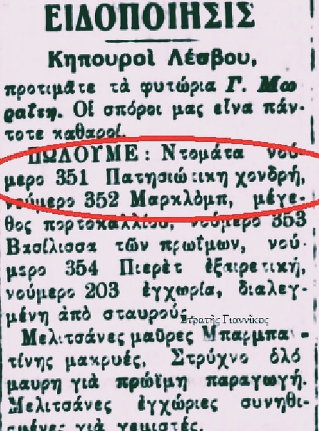 ΑΚΡΙΔΕΣ