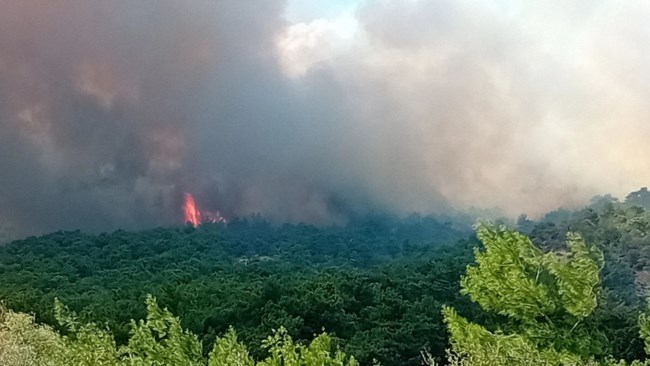 Μαίνεται η μεγάλη φωτιά στον Εβρο για 15η ημέρα - Εκκενώθηκε ξανά η Λευκίμμη