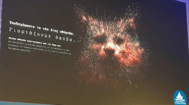 Οχι στη χρήση βεγγαλικών και πυροτεχνημάτων - Επιλέξτε τα αθόρυβα - Οι επιπτώσεις στα ζώα