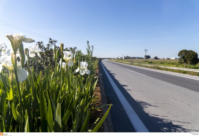 Άδεια Εθνική