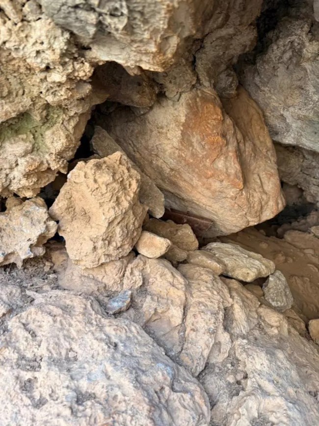 ΒΟΡΙΖΙΑ ΕΛΑΣ