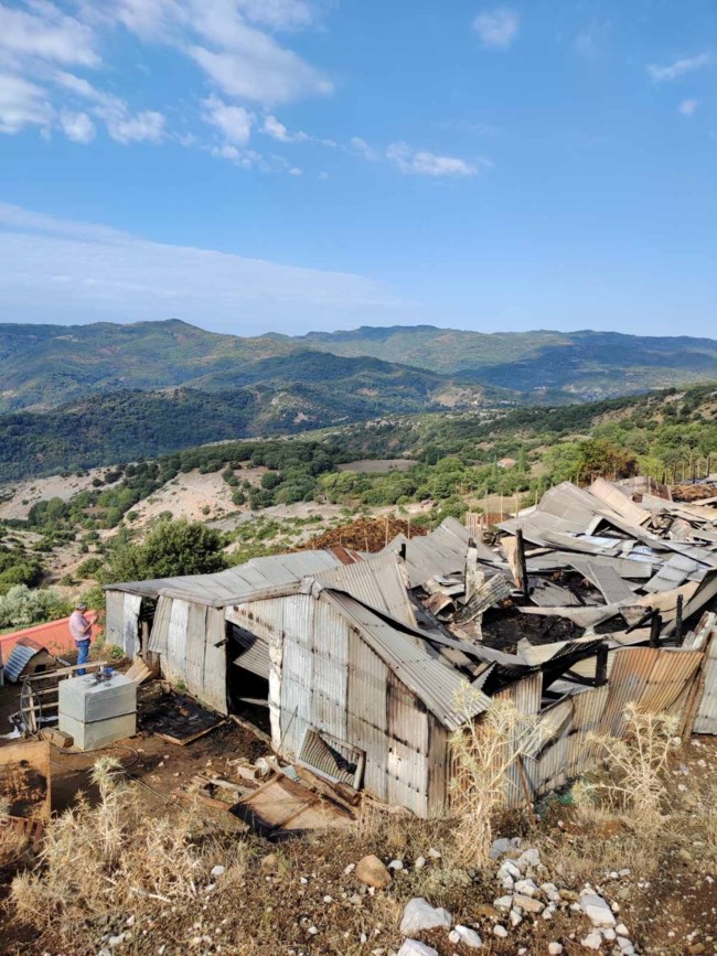 Αιτωλοακαρνανία: Κεραυνός χτύπησε στάβλο και σκότωσε 150 ζώα [εικόνες]