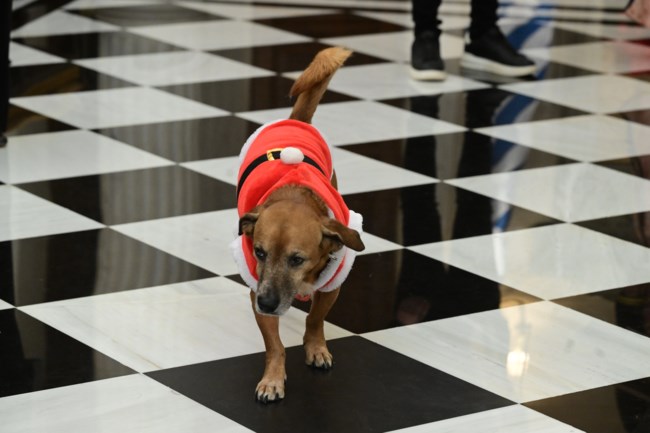 ΜΗΤΣΟΤΑΚΗΣ ΚΑΛΑΝΤΑ ΜΑΞΙΜΟΥ