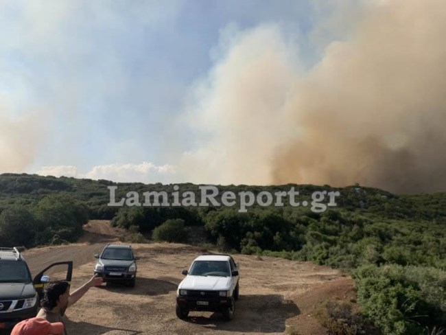 Φωτιά στη Φθιώτιδα: Υπό έλεγχο η πυρκαγιά - Καίρια επέμβαση των εναέριων μέσων