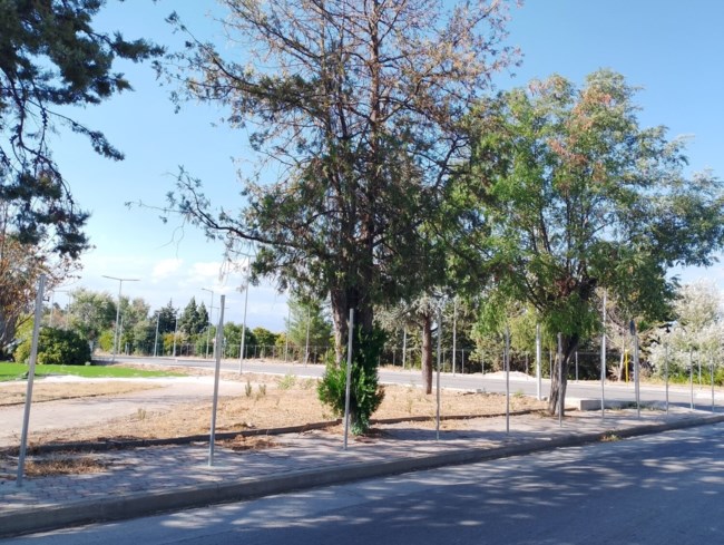 Τραγωδία στα Τέμπη: Με συρματόπλεγμα η διαμόρφωση του χώρου για τη μεγάλη δίκη [εικόνες]