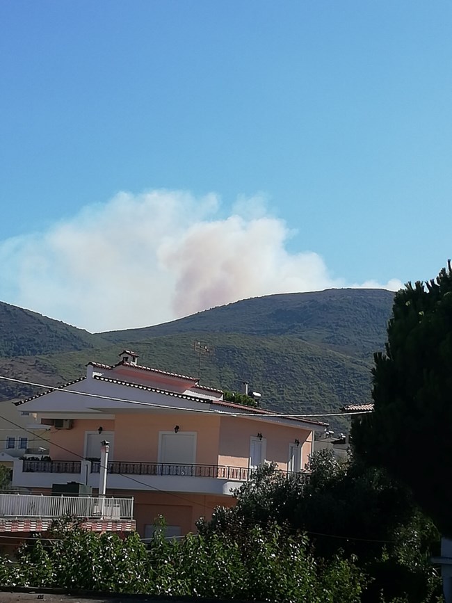 φωτια πεντελη