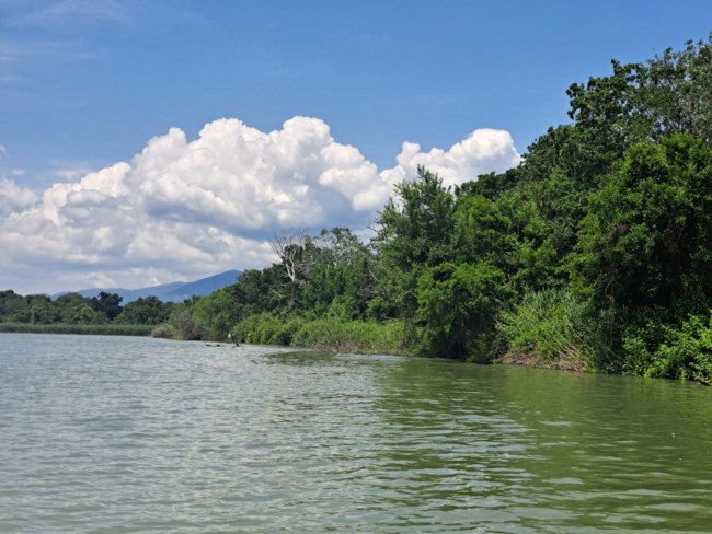 ΛΑΡΙΣΑ ΝΗΣΑΚΙ