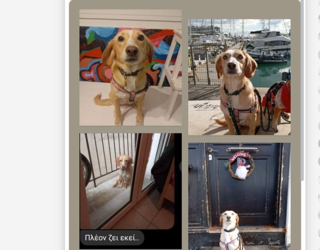 Η κηδεμόνας της αποφάσισε ότι δεν τη θέλει μετά από ενάμιση χρόνο και απείλησε ότι θα τη βγάλει στο μπαλκόνι