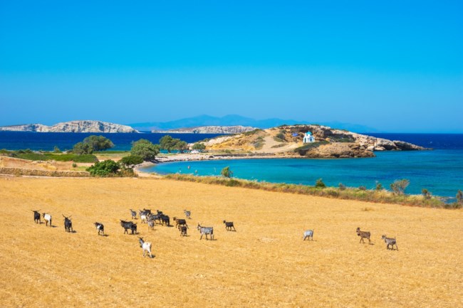 Λειψοί